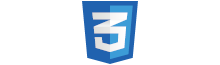 CSS Logo